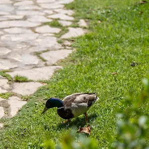 Garden & - Torremolinos